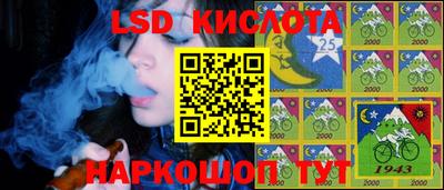 шишки Усть-Илимск