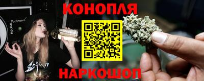 шишки Усть-Илимск