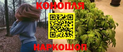 шишки Усть-Илимск