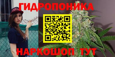 кокс Уссурийск