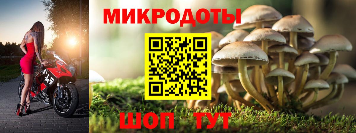 Псилоцибиновые грибы ЛСД Вязьма